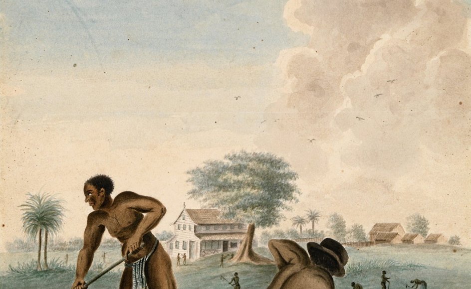 Hollands nationale museum, Rijksmuseum i Amsterdam, har lavet en stor udstilling om landets fortid som slavenation og kolonimagt gennem flere hundrede år. Her ses et af museets malerier, der viser anonyme slaver, der graver, fra cirka 1850.