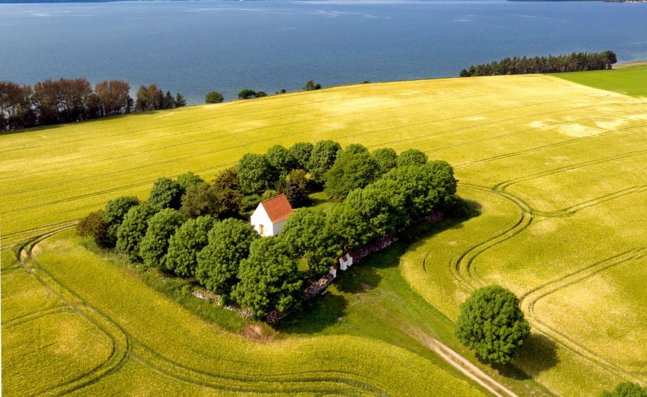 I mere end 1000 år har herre-, proprietær- og lystgården Rolsøgård været omdrejningspunkt for livet ved landsbyen Vrinners på Mols, og den nu næsten øde kirkegård fortæller historien om menneskene på gården og egnen.