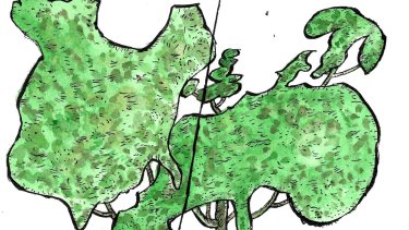 Hvorfor har Europa og USA domineret verden i de seneste 500 år? Og er Vestens skæbne nu ved at vige for Asiens? De spørgsmål gransker historikeren Niall Ferguson i en opsigtsvækkende bog.