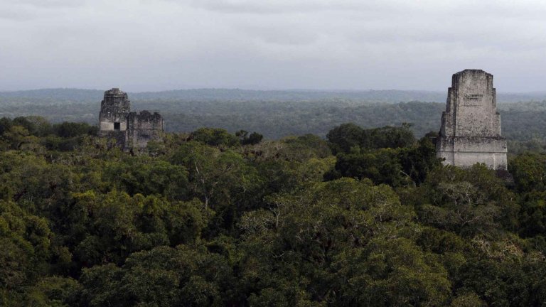 Maya - riget under junglen