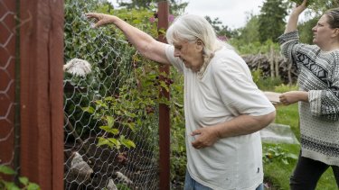 Annie og Marianne Hansen har siden 1986 boet i sommerhuset i Ellinge Lyng i Odsherred. Siden 2007 har de ikke haft nogen indtægt, men stort set levet fra jorden til munden og uden fornødenheder som varme og elektricitet. Nu er freden imidlertid forbi. Odsherred Kommune har indstillet huset til tvangsauktion. – Foto: Mikkel Møller Jørgensen.