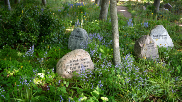 "Memento mori, husk, at du skal dø, lød det engang på latin. Det har været det fortegn, mennesker har levet deres liv under. At leve med bevidstheden om, at man skal dø – blandt andet ved at mindes de døde – skaber taknemmelighed for, at man lever," skriver Erik Bjerager.
