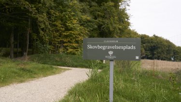 Stadig flere vil begraves i skoven. Tendensen udfordrer fælleskabet, mener biskop