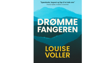 Debutroman om ulovlige adoptioner tager afsæt i virkeligheden. Og den er ikke for sarte sjæle