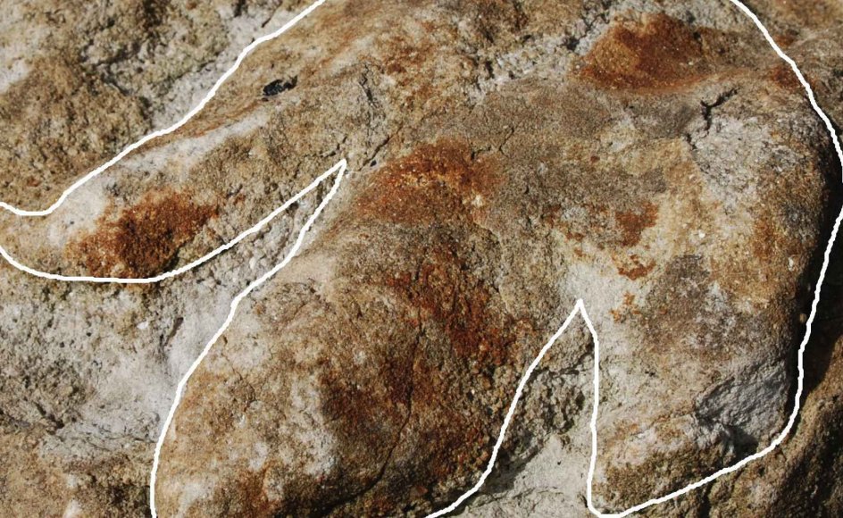 Dinosaur Satte Fodaftryk P Bornholm Kristeligt Dagblad Dinosaur Satte Fodaftryk P Bornholm Kristeligt Dagblad